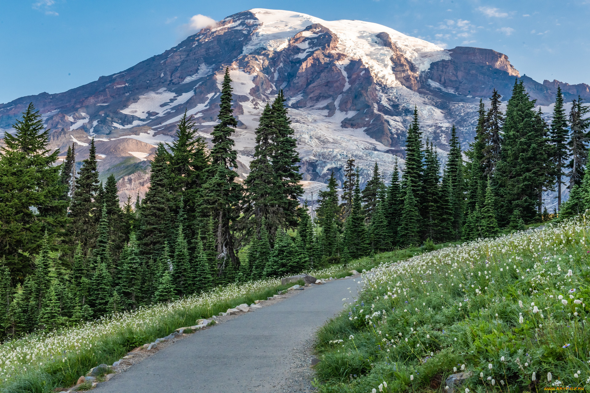 �������, ������, ������